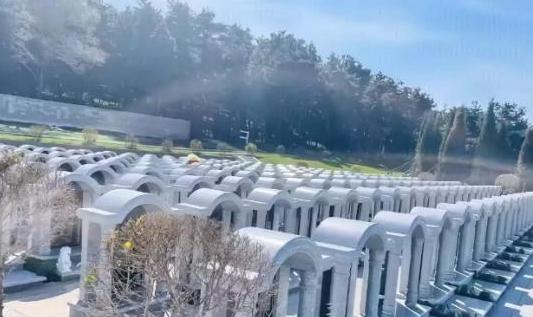 骨灰盒正在被时代抛弃！大家有没有发现，八宝山三万多块墓地到期不续租、停售新墓，当