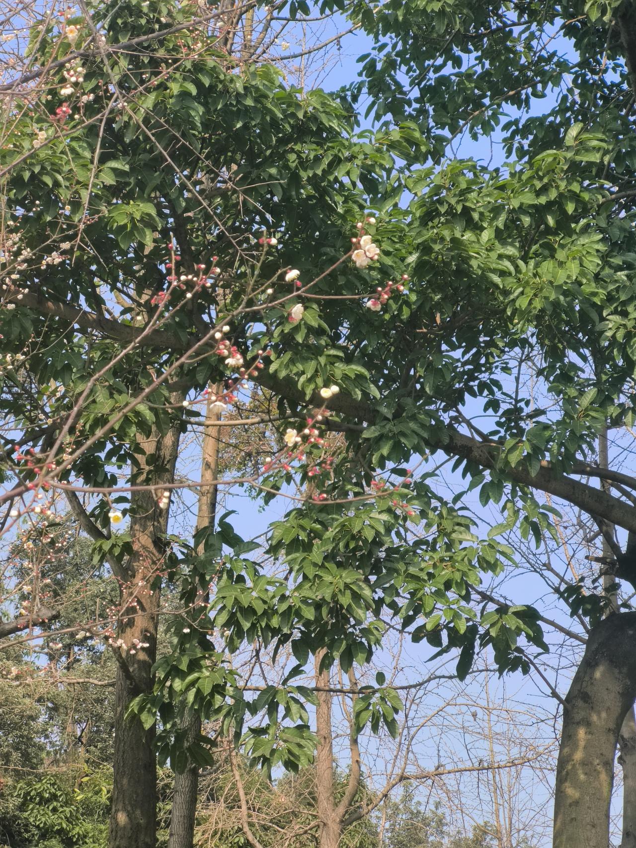 问大家一个问题如果你只有3000元退休金儿子在一线城市生活你搬到儿子在的城