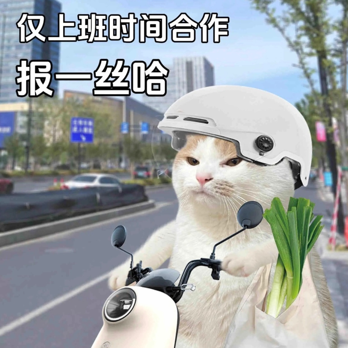 升职加薪没我的事，干活的时候就没我不行了？职场小人我已力竭.....