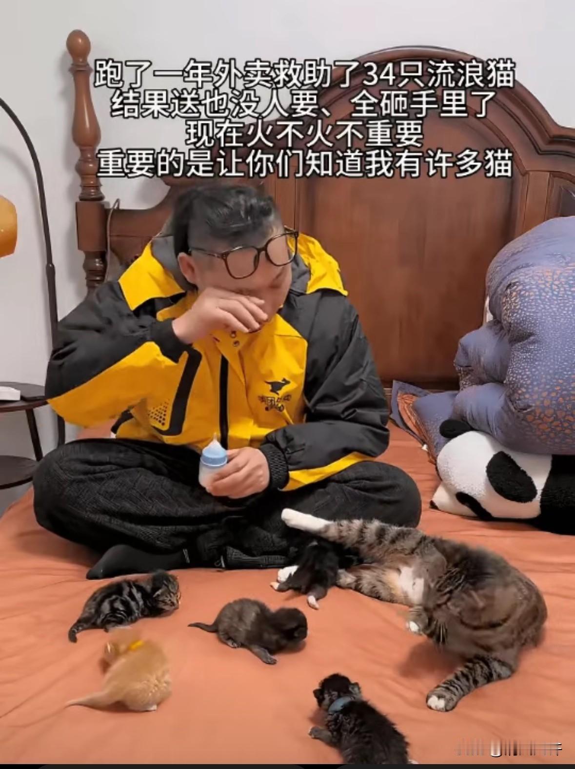 一个外卖小哥，跑了一年外卖，路上救了34只流浪猫，救的时候大概想着，治好了、养胖