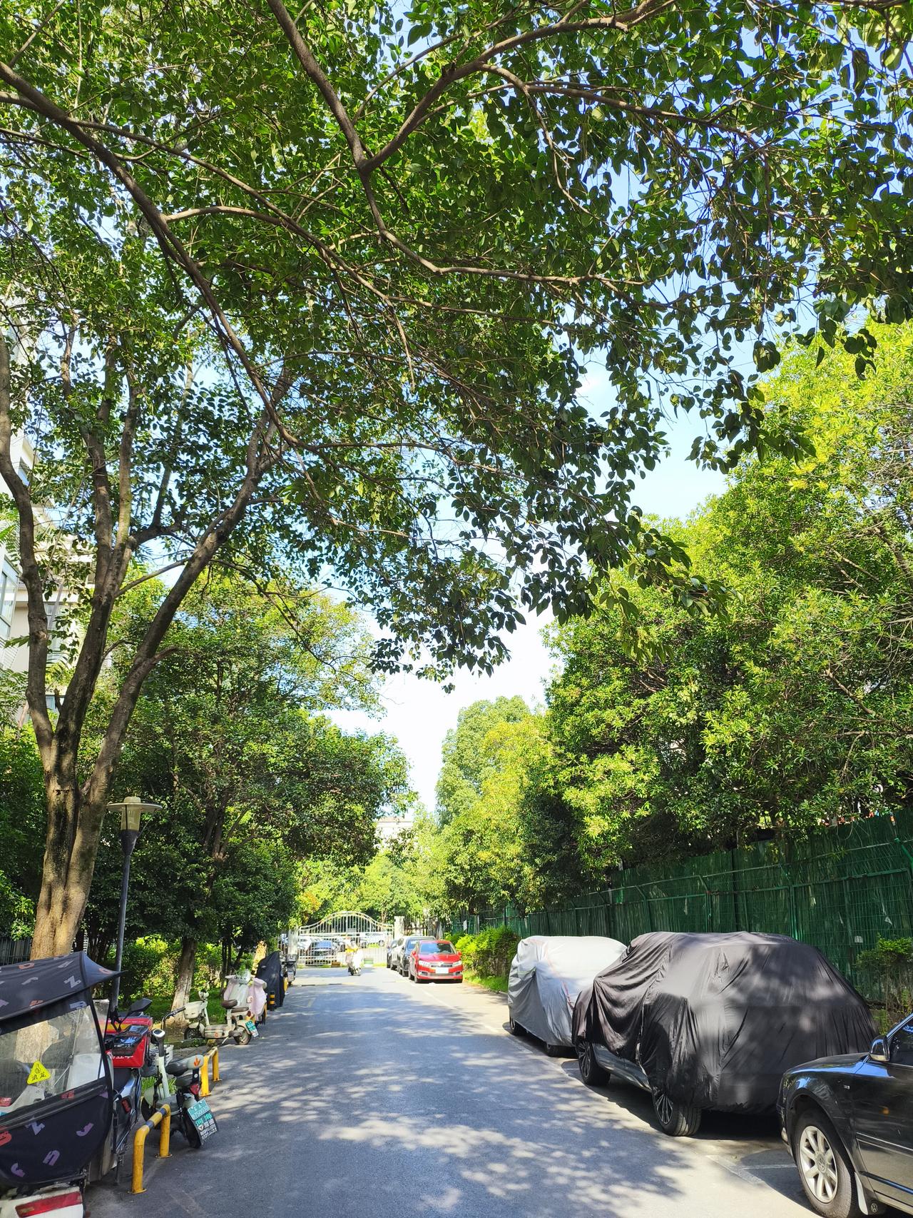 最近这高温真要把人热麻了！南京好多地方最高气温都飙到35℃以上，走在外面就像进