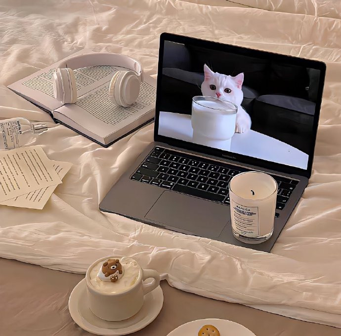 值得长期不换的背景图✰⋆⁺₊⋆☾⋆