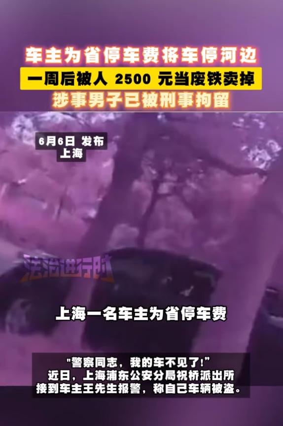 “这下傻眼了！”6月6日报道，上海，一男子为了省停车费，将车停在河边草坪，一周后