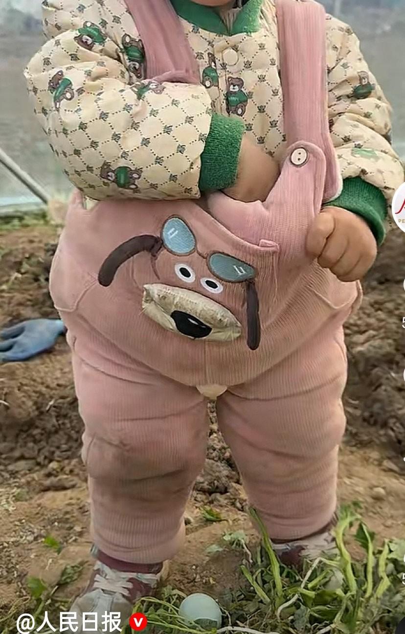 一岁半宝宝在鸡棚捡鸡蛋，边边捡边掉，出现了一个会下蛋的宝宝，这裤子是开裆裤呀，