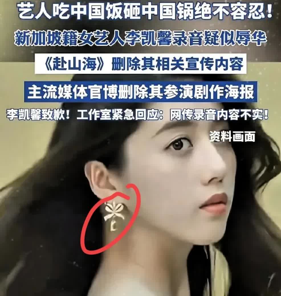 李凯馨的事终于弄明白了万万没想到，李凯馨的团队和粉丝是真硬气！爆料她的人不是