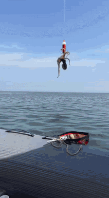 我也不知道咋了突然就熟了