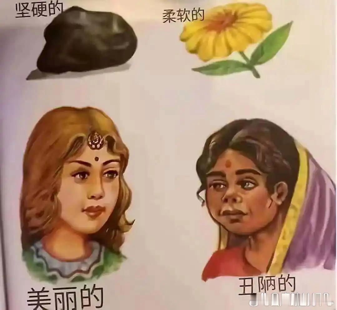 没想到印度的毒教材更毒，简直无语！