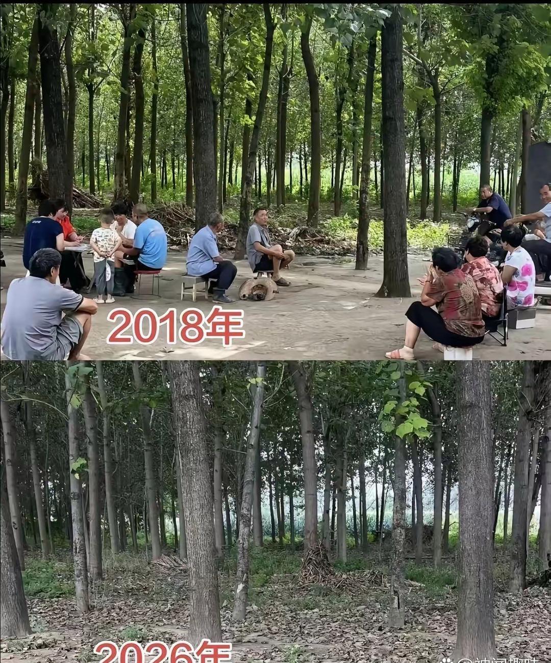 对时间，我们毫无还手之力