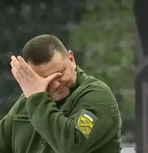 乌克兰不得已换帅！泽连斯基宣布解除瑟尔斯基的乌克兰武装部队总司令职务，任命年