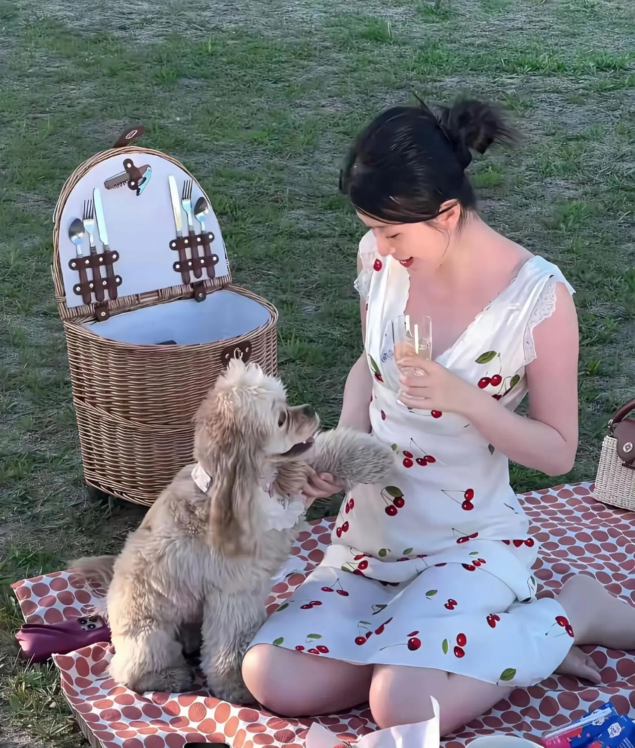 乔欣淡圈后的生活：逛逛逛！吃吃吃！玩玩玩！买买买！乔欣淡圈后的生活如现实版曲