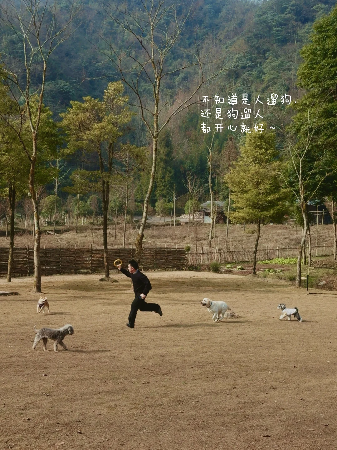 淡季的山谷，是属于小狗们的🐾