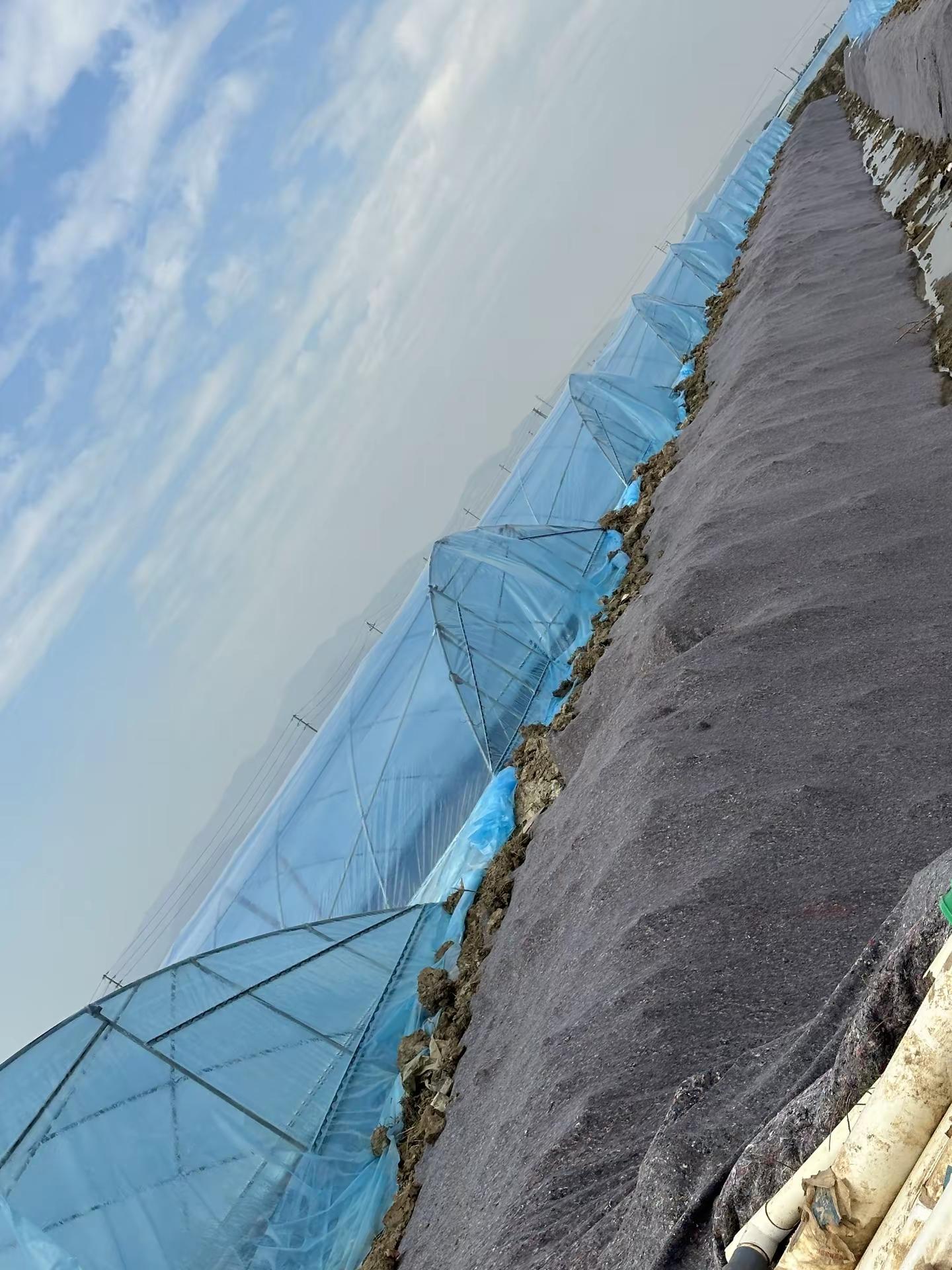 成年人的分寸感，就是点到为止，远离让你不开心的人和事，不必多说