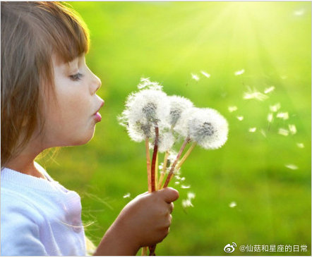 水逆退散公益救援在行动巨蟹座爱一个人总有一个固定的过程，开始表现得很热烈，往