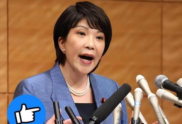 日本签证费暴涨