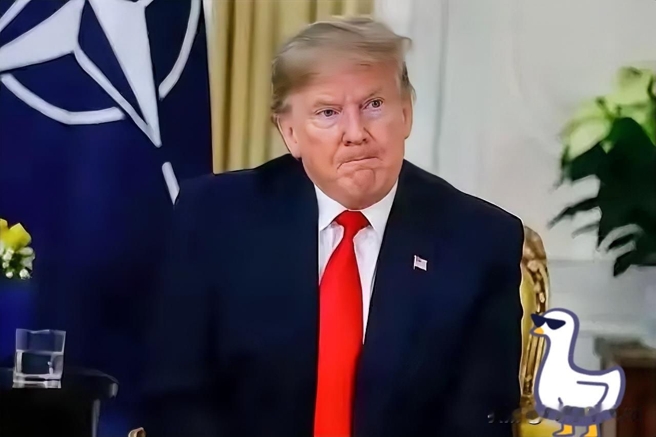 就在刚刚特朗普松口豁免对华医疗关税：不是妥协，是美国医疗系统扛不住了1