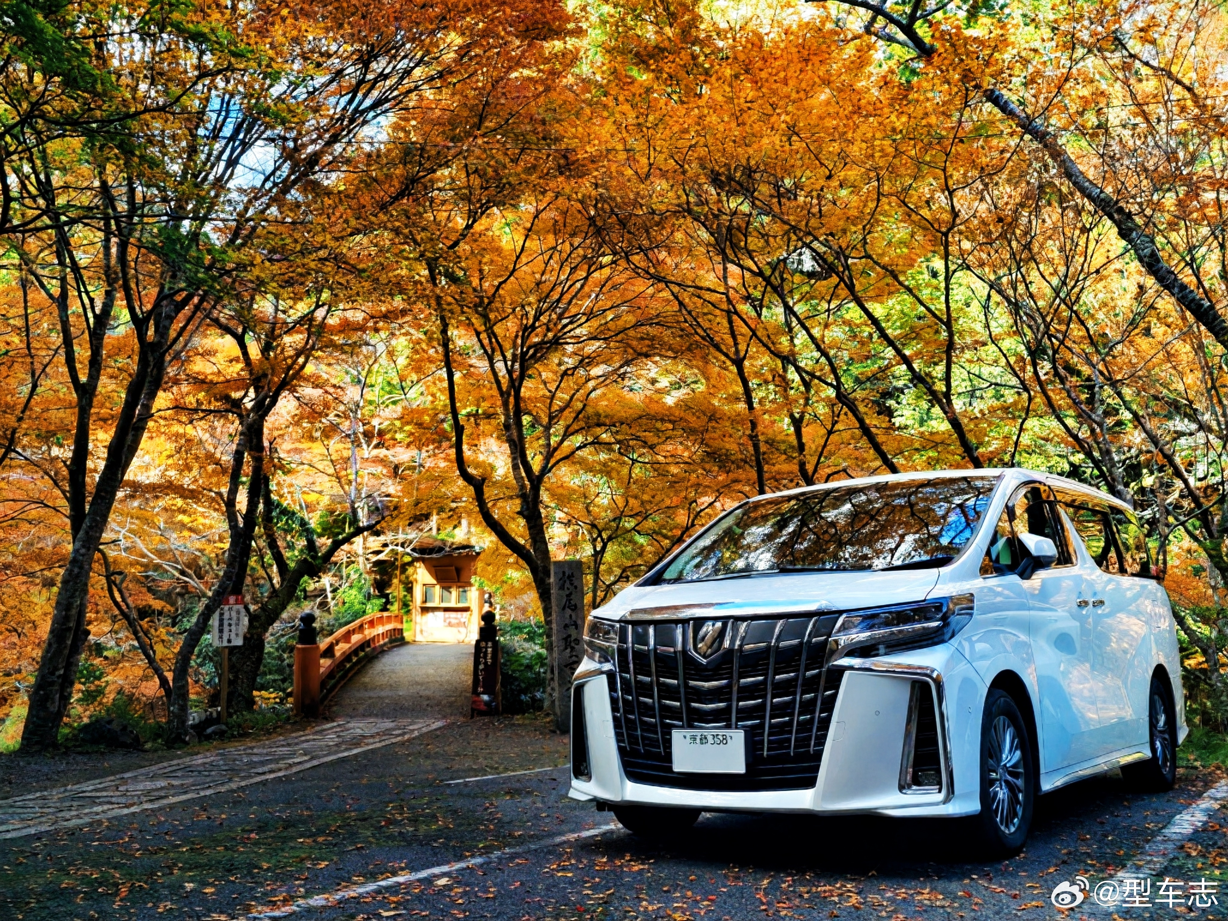 京都高雄的西明寺，现在正是红叶最盛的时候，山谷里的枫色浓得像被点着了，难怪平安时