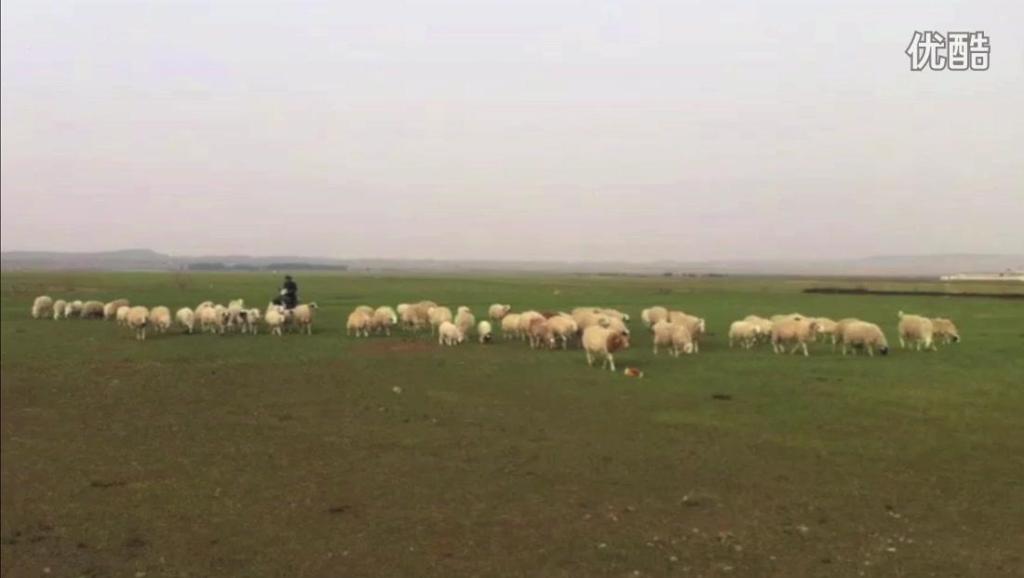 11257945668508429599.jpg?id=0