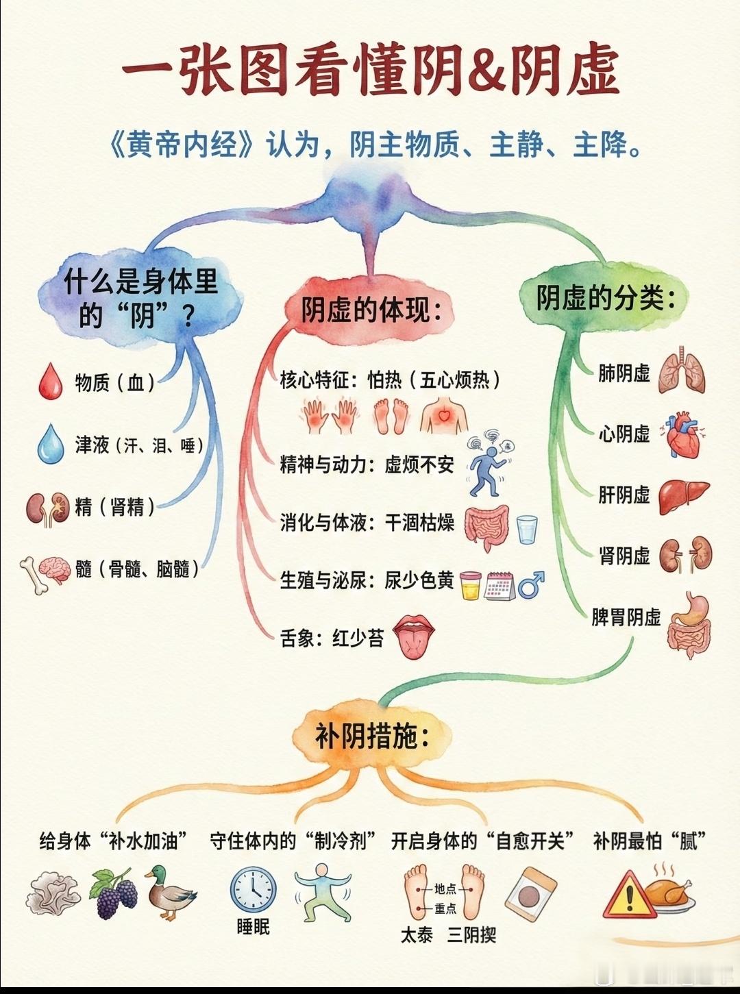 阴虚是中医术语，指人体阴液（包括精、血、津液等）不足，导致阴阳失衡，出现虚热内生