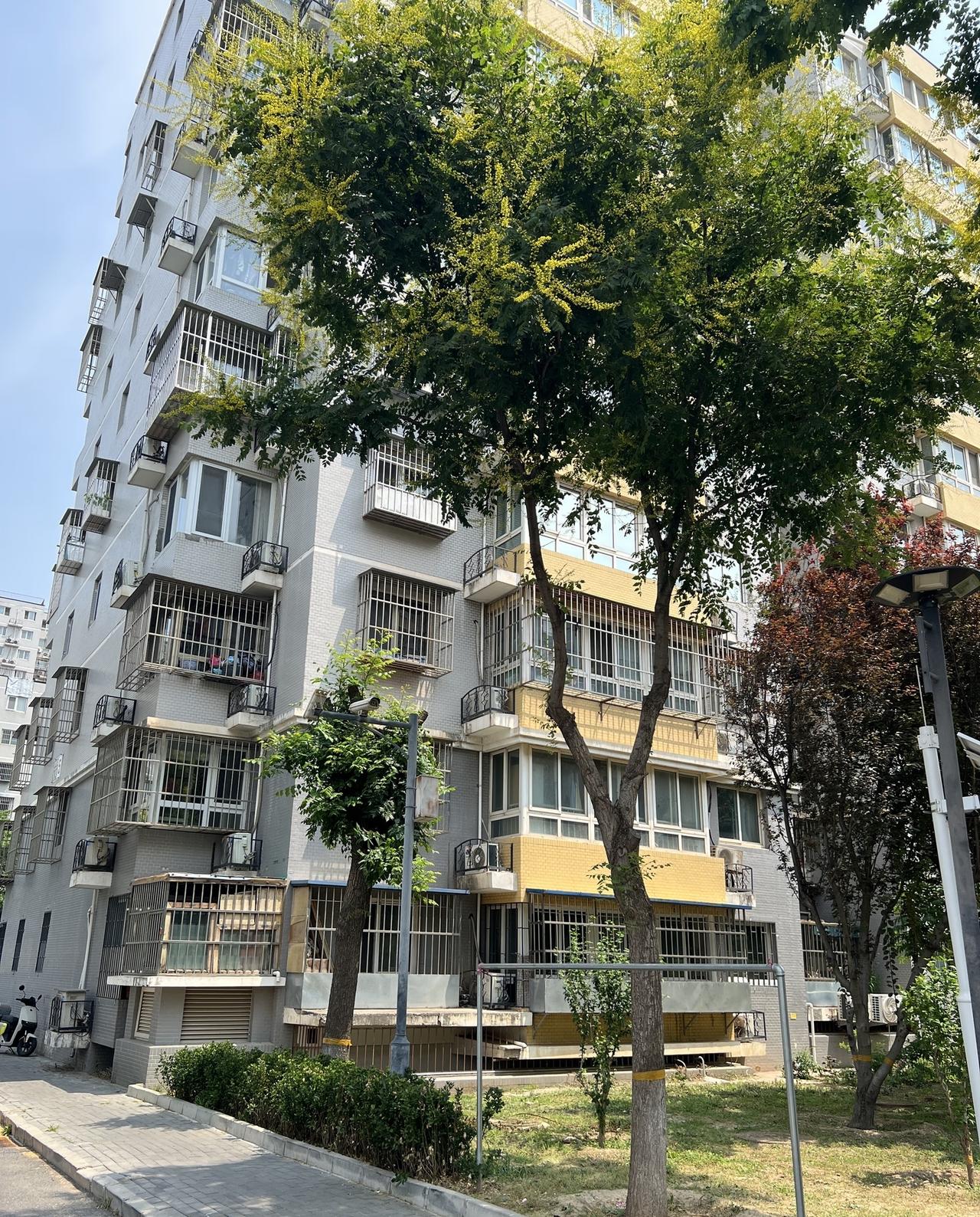 山东一对四十岁的中年夫妻，带着上五年级的孩子来到天津南开区打拼。靠着家里传承