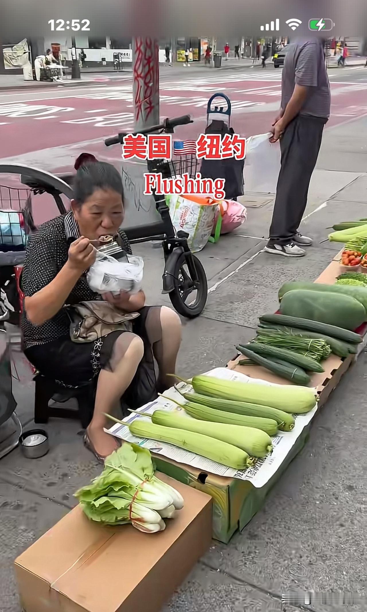 美国纽约法拉盛，真像一个农村大集市啊！瞧，卖黄瓜、丝瓜的大妈一排排，初来乍到