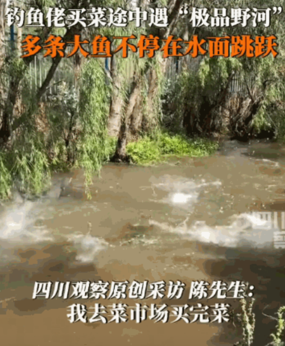“梦中天堂！”云南昆明，一男子去菜市场卖完菜，路过一条野河，看到有人钓鱼便上前凑