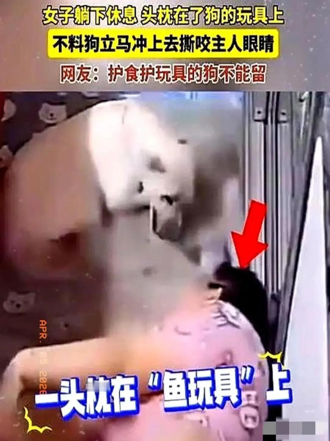 畜生永远是畜生！三秒毁一生！别再天真以为，我的狗从不咬人2024年黑龙江发