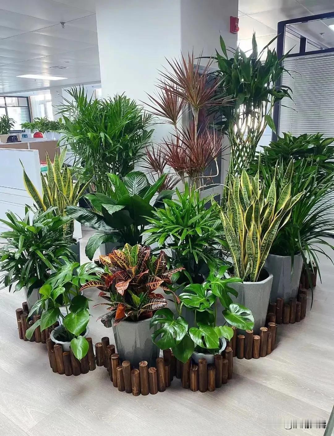 我们河南老家的彩礼普遍是订亲10万左右，结婚18.8万，外加三金，县城以上