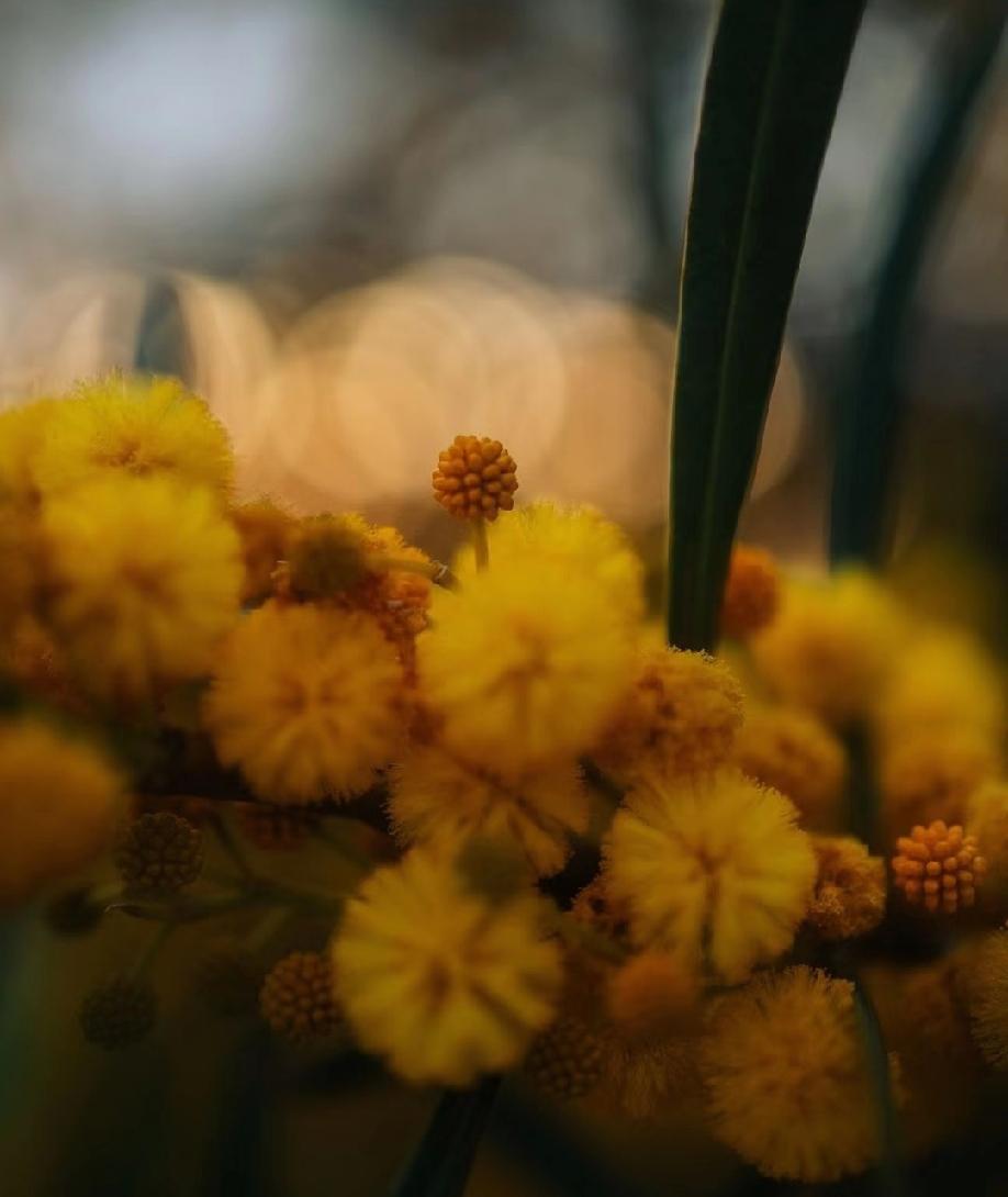 只为自强而努力，不为不公而抱怨，你要知道，在这个世界上，规则从来都是强者制