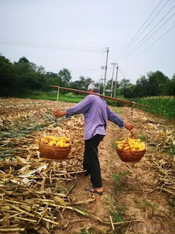 不是有人天天嚷嚷着说老农民没有机会买社保吗？假设现在让那些错过买社保的老农民补缴