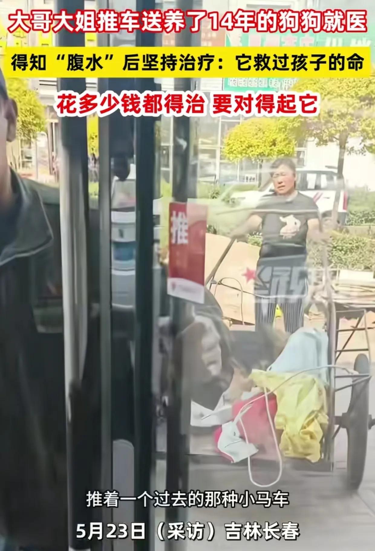 吉林，大哥大姐用小推车带着养了14年的狗狗去看病，宠物医生诊查后摇头说：“这个狗