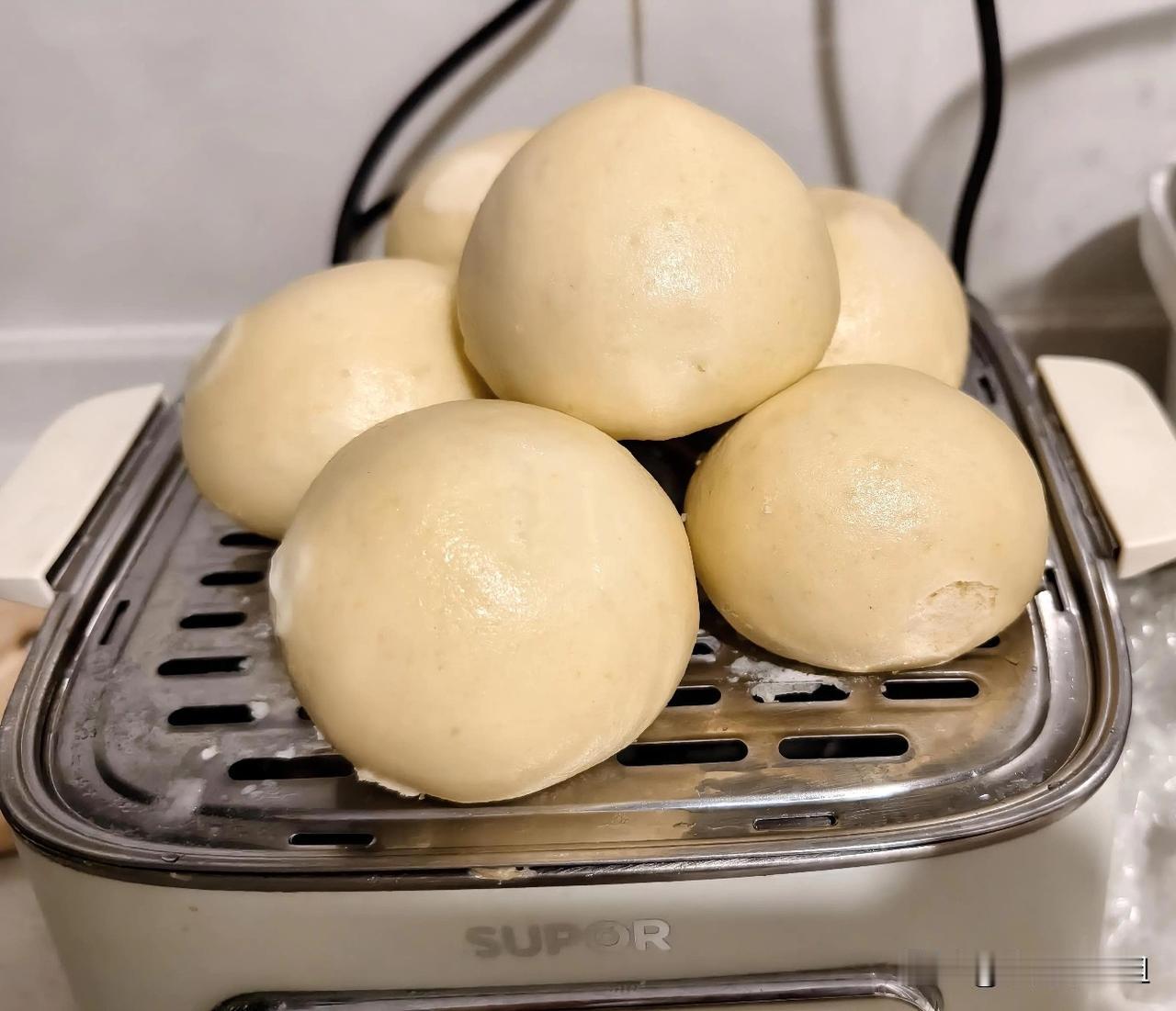 家里没有馒头了，我最近吃米饭总觉得胃不舒服，晚饭也不想吃米饭，干脆蒸馒头吧。发