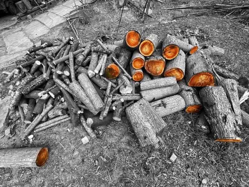 湖北黄冈这哥们儿，想在丈母娘家好好表现一番，结果劈柴劈出个大意外，直接骨折入院了