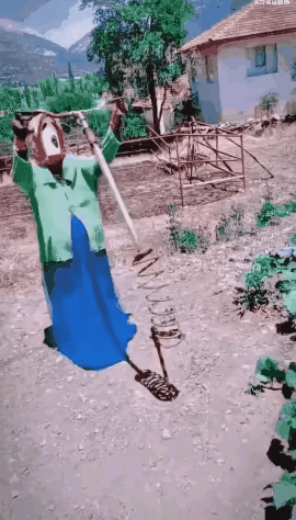 这个稻草人往那儿一放，白天鸟儿不敢靠近……晚上人类也不敢靠近了……国外有户人家