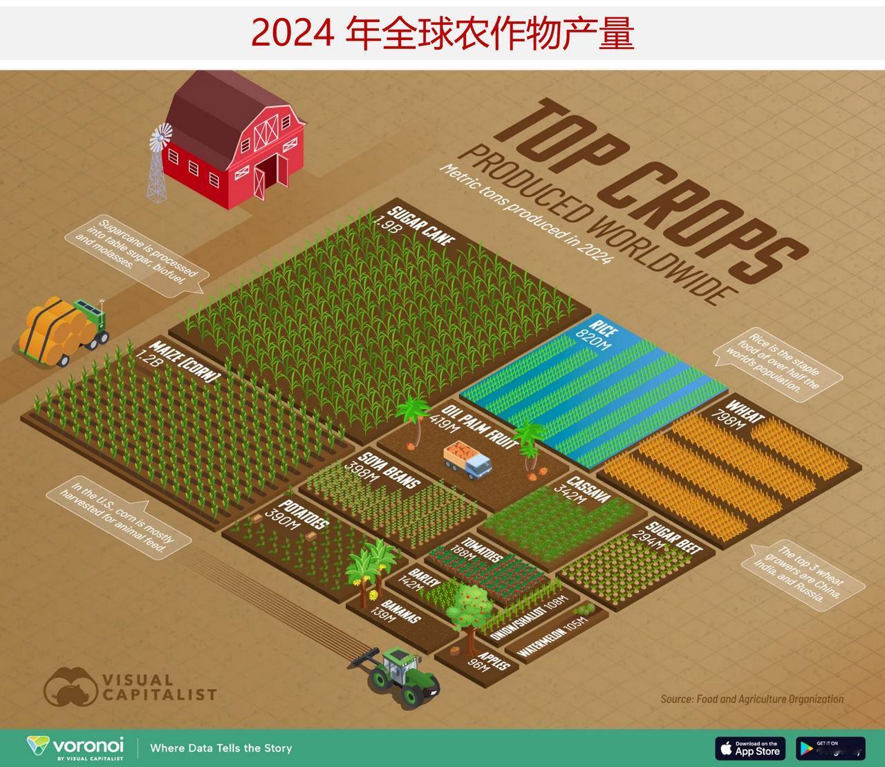 世界上产量最高的农作物是什么？全球每年约收获20亿吨的甘蔗，这使其成为地