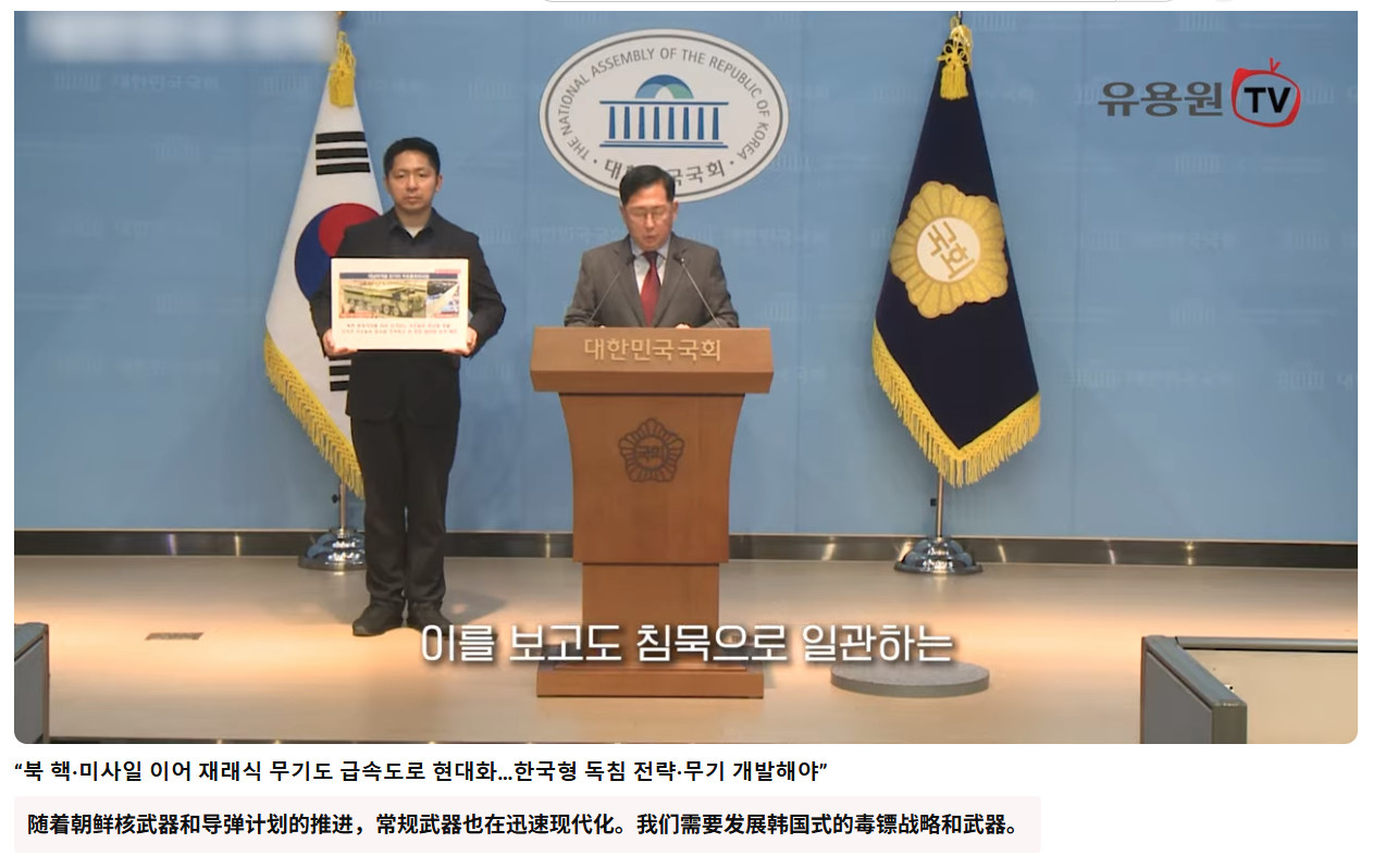 被朝鲜阅兵震撼到的韩国国会议员鼓吹开发韩国版豪猪战略与武器韩国国会议员、军事分析