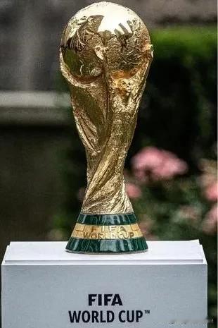 世界杯八强已经出炉，名单如下。1.法国2.摩洛哥3.挪威4.英格兰5.