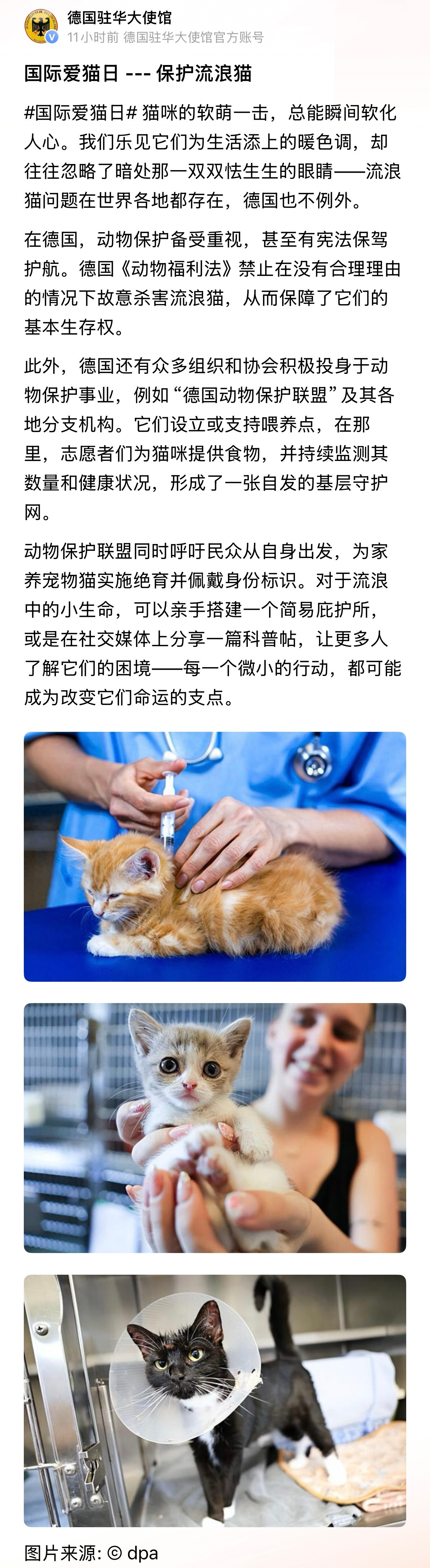 文明社会！不在于钢筋混凝土水泥有多高，而在于对小动物的保护态度和爱心。。。💗国