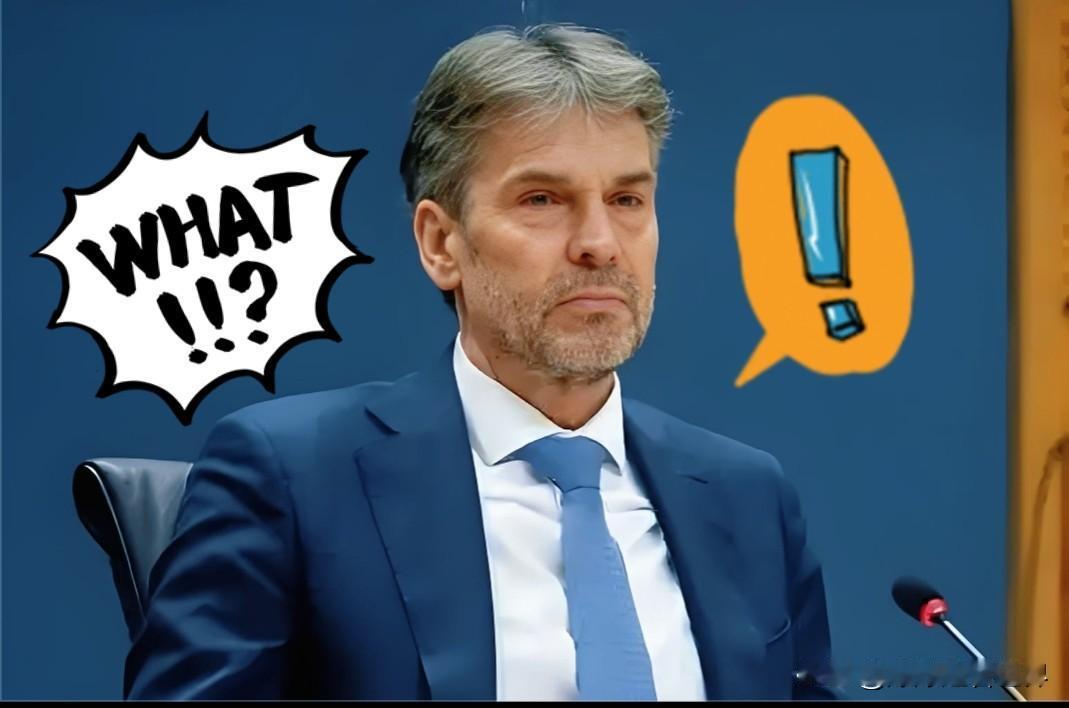 快报!快报!荷兰众议院宣布了!10月29日,荷兰众议院选举投票正式启动!这次