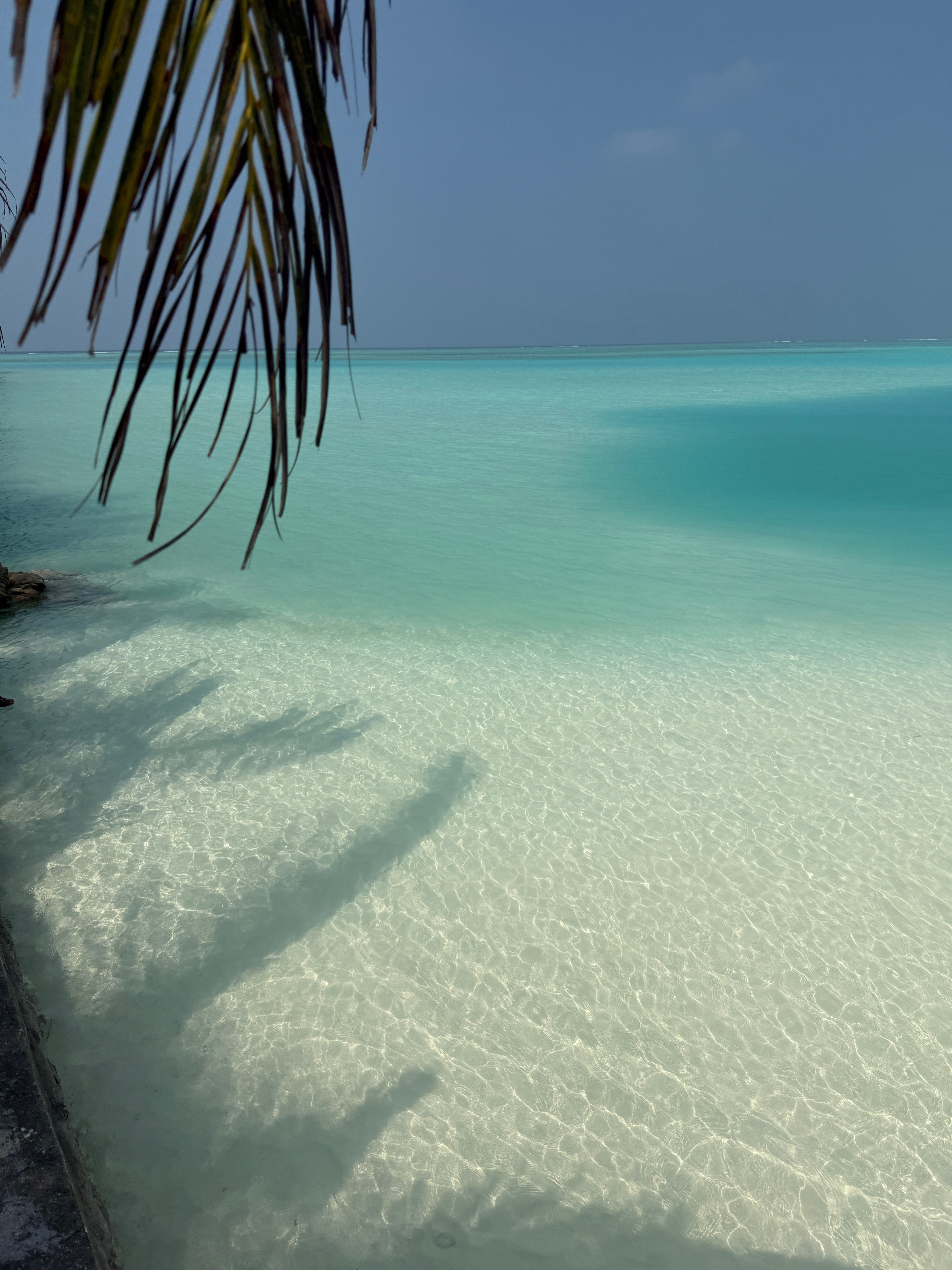 来看玻璃海🌊马尔代夫