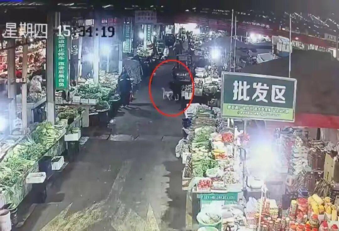 2026年1月1日，新修订《中华人民共和国治安管理处罚法》施行当日，襄阳市保康县