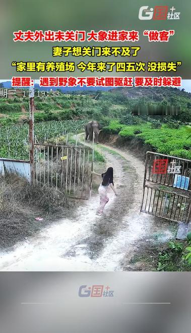 在云南，有时候人和野外只隔着一扇没锁的院门。住在普洱思茅区糯扎渡镇的李大姐，家