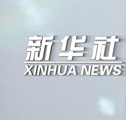 新华社“秀我中国”栏目重点报道“修猫修狗”宠物诊所，有点“情感错位”新华社那