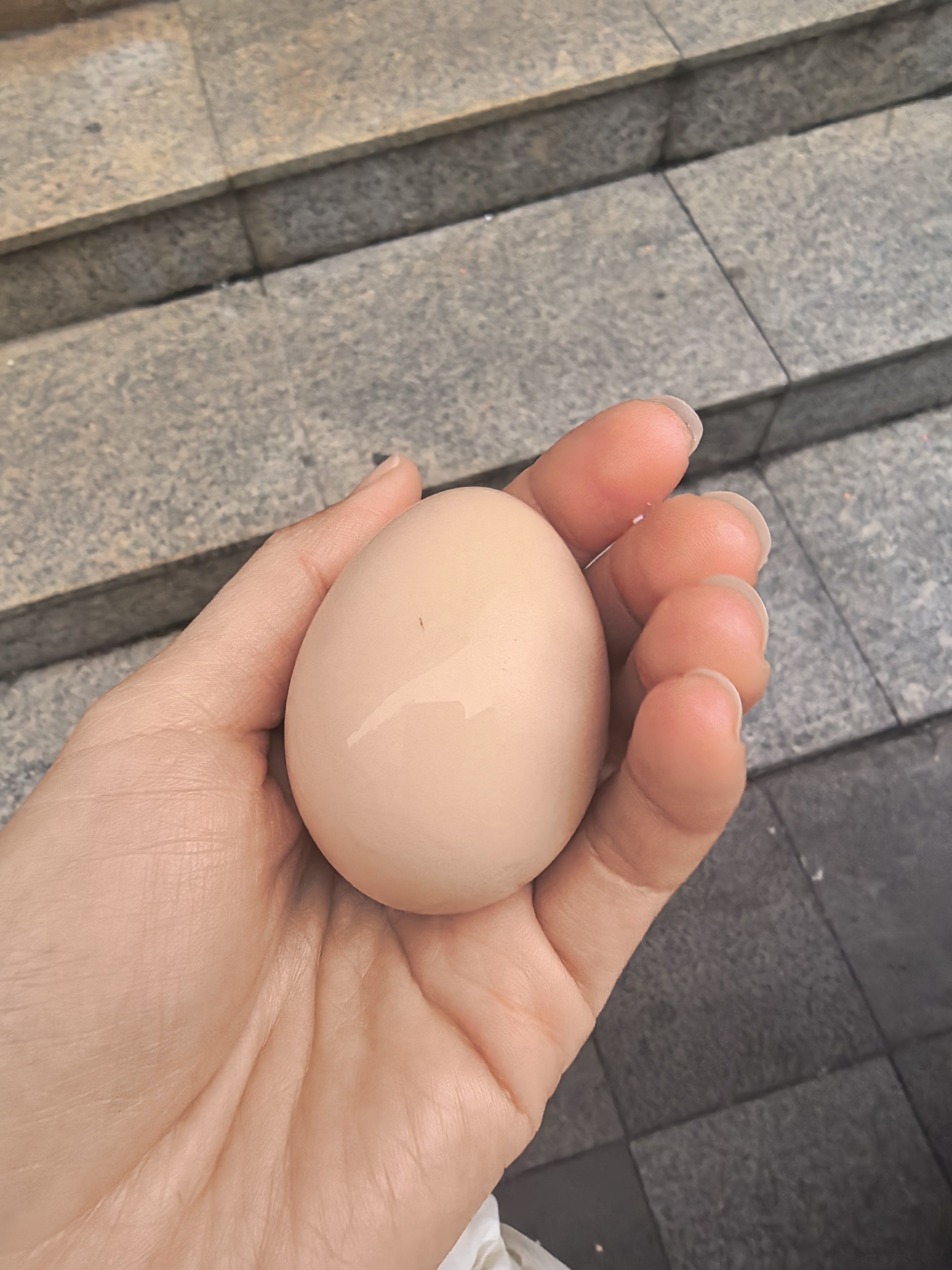 早餐——咖啡配白水煮蛋！