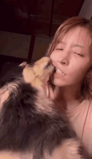 女子这种情况是病态？情感错乱，容易被动物携带病毒、细菌感染的。爱狗不能痴狂，
