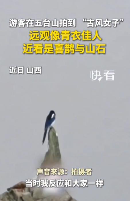 “开眼界了！”9月21日，山西忻州，一游客来当地旅游，他在欣赏风景时，远远看见一