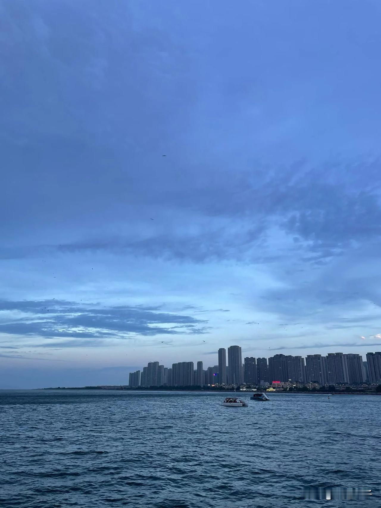 晚上，海上看大连更美，自己带面包喂海鸥更划算！昨天余晖散落在天际的时候，登上