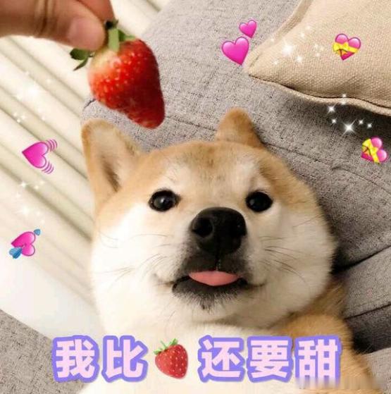 十二星座恋爱甜度排行榜：第一名双鱼：甜到腻第二名狮子：高调糖第三名天秤：仪式感拉