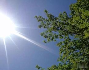 阳光不足　　阳宅风水最讲究阳光空气，所以选择房屋居住，非但要空气清爽，而且还要