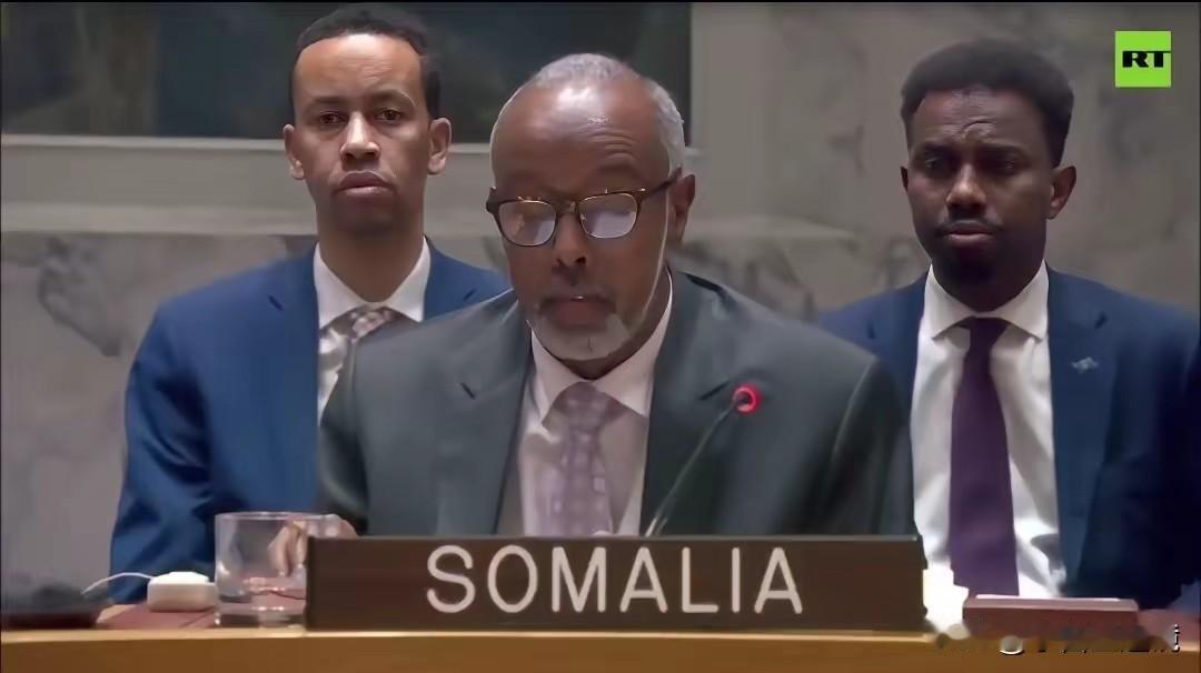 这做法真的解气索马里在联合国当面斥责以色列：“你们明知自己日复一日的所作所