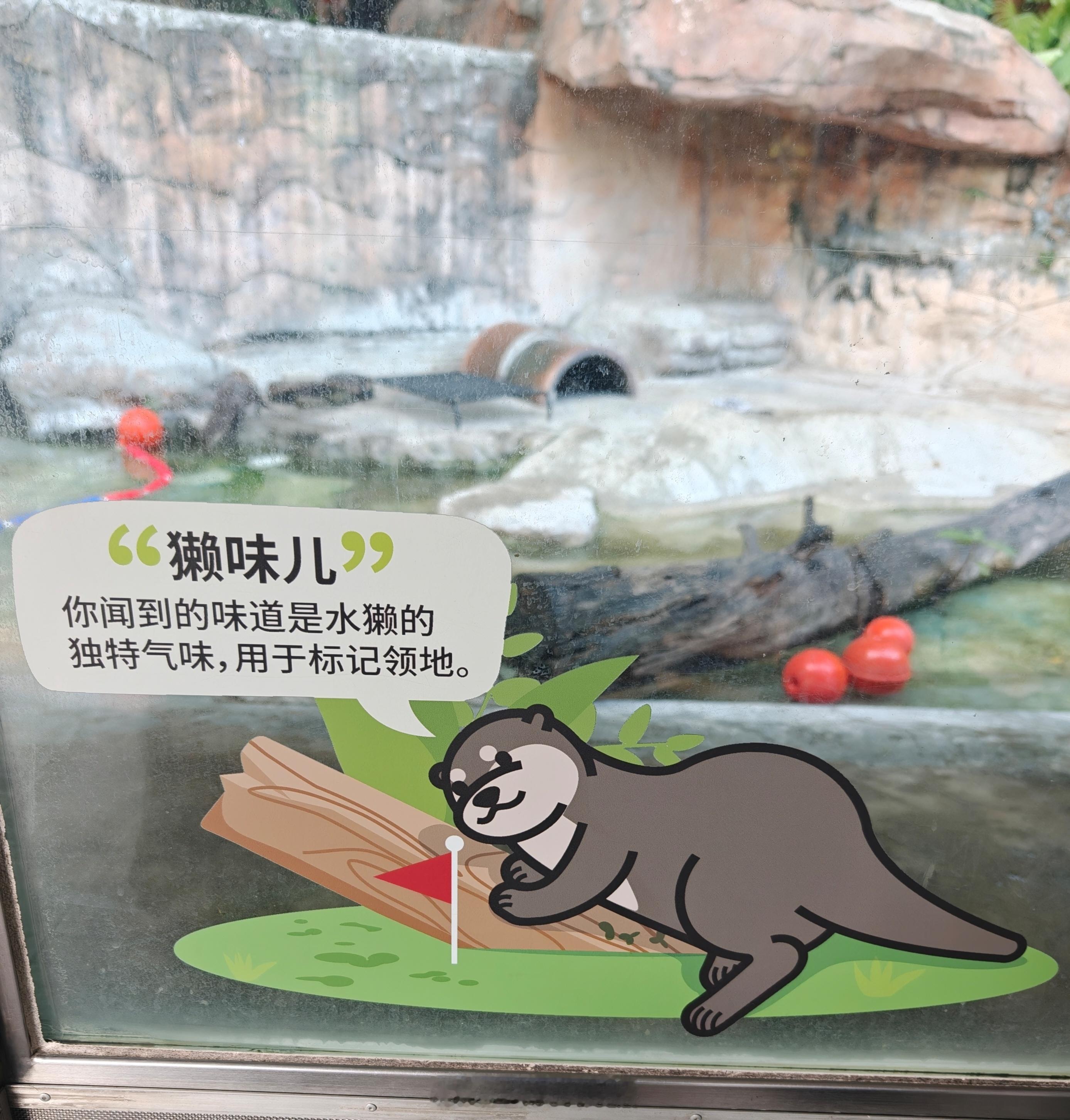 嚯嚯嚯，还有这种味道的？